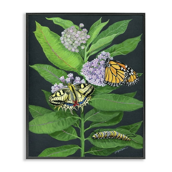 Stupell Industries Vintage Milkweed & Insects Animals & Insects Painting Black Framed Art Print Wall Art, 11 x 14