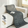 thumbnail image 1 of Sofa Cushion Cover for Pets Soft Washable Polyester Slipcover Suede-Like Fuzzy Surface Wrinkle Resistant Silicone Non-Slip Backing 60x90cm 1 Piece, 1 of 6