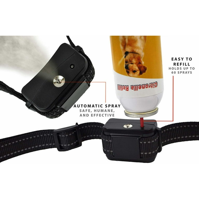 Humane citronella collar cheap