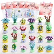 Valentine's Day Gift 24 Succulents Building Blocks,Advent Calendar for 3  Kids Boys and Girls