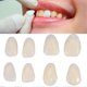 thumbnail image 1 of 70pcs/bag Teeth Veneers Resin Anterior Upper Temporary Crown For Dental Oral Care, 1 of 3