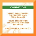 thumbnail image 3 of Cantu Leave-In Conditioning Repair Cream with Argan Oil, 16 oz (Pack of 2) (Packaging May Vary), 3 of 3