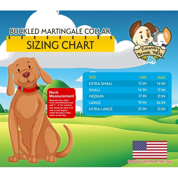 Country Brook Petz® Green Paisley Reflective Martingale Dog Collar With Plastic Buckle, Large