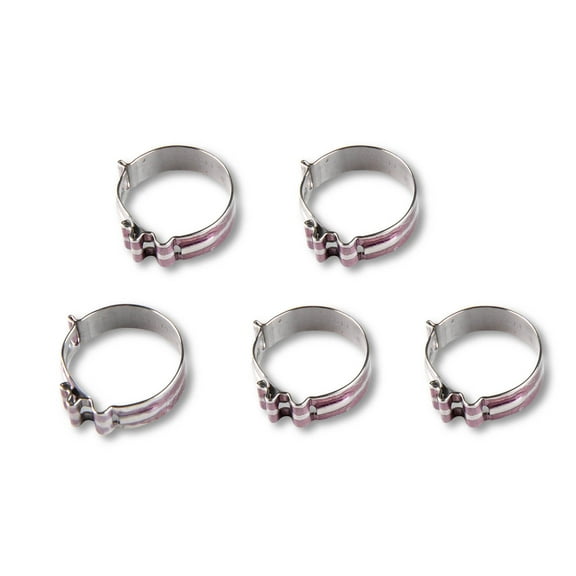 Earl's Performance 818406ERL Hose Clamp