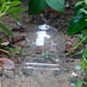 thumbnail image 4 of unbranded 15Ud Cubierta Plástica Para Plantas Protector Invernadero Con Ventilación Regulable Transparente Para Jardín, 4 of 7