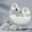 White, variant on BLNVKOP Hot Sale Ear Clip Headset Wireless Conduction Out Of The Ear Open Ear Clip Hanging Ear Running