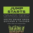 thumbnail image 4 of Scotts Turf Builder Triple Action Built for Seeding - Weed Preventer and Fertilizer for New Lawns, Lawn Food, 4,000 sq. ft., 17.2 lb., 4 of 5