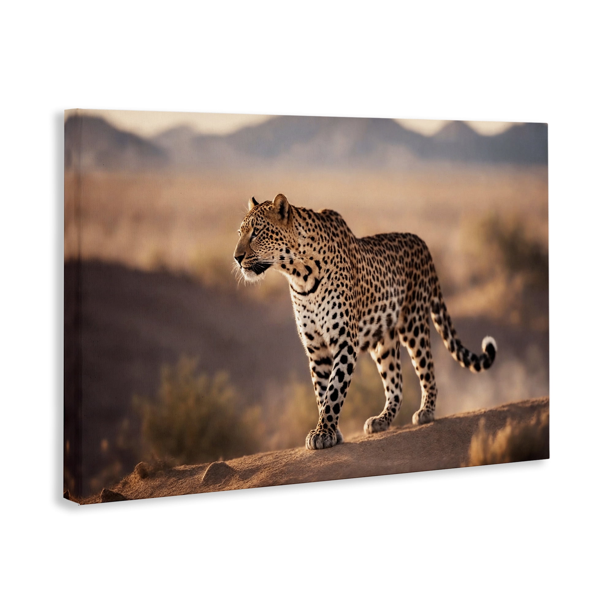 Stupell Industries Cheetah On Patrol Animals Photography Wrapped Canvas Art Print Wall Art, 36 x 24