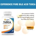thumbnail image 3 of Suplemento Cofure TUDCA 500 mg para el hígado y la vesícula biliar, 60 C, 3 of 7