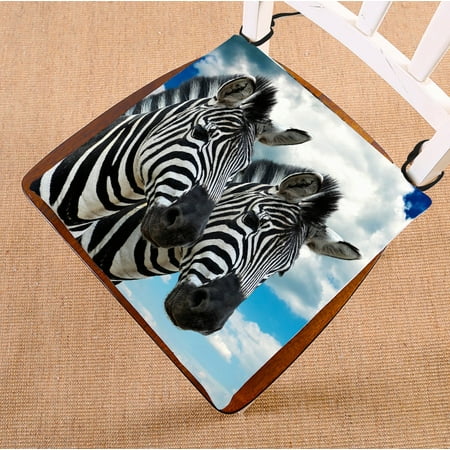 

PHFZK African Animal Chair Pad Funny Zebras against the Blue Sky Seat Cushion Chair Cushion Floor Cushion Two Sides Size 18x18 inches