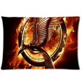 thumbnail image 1 of QIFEIHA The Hunger Games Pillowcase Cushion Cover Two Sides Printing Size 20x30 inch, 1 of 2