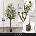 thumbnail image 2 of CAPHAUS Artificial Olive Tree, 5 / 6 / 7 Feet Fake Potted Topiary Tree with Dried Moss, Faux Olive Branch and Fruit, Faux Plant in Pot for Indoor Home Office Modern Decoration Gift for Housewarming, 2 of 9