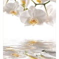 thumbnail image 3 of Ambesonne Flower Duvet Cover Sets, Orchids on Rippling Water, 2-Queen, Off White Orange, 3 of 7