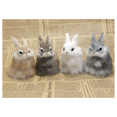 thumbnail image 2 of Cute Imitation Bunny Window Decoration Artificial Statue Dining Table Decoration in Easter Restaurant A, 2 of 6