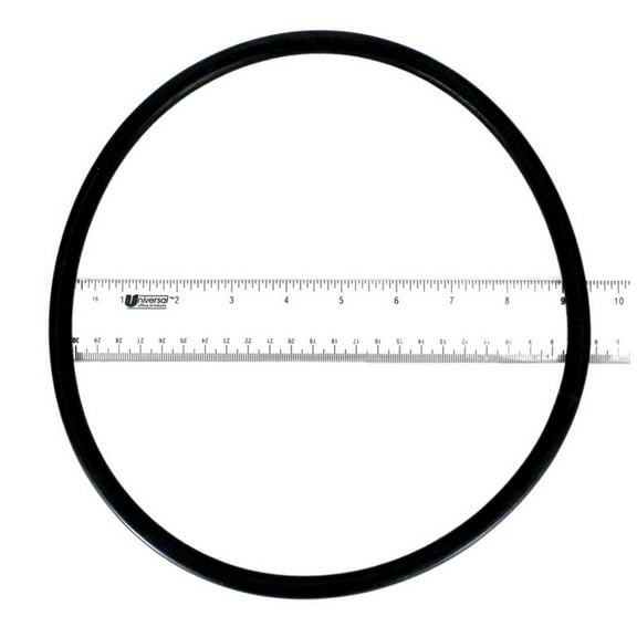 Hayward (CX800F) 800 & 1100 Cartridge Lid Replacement O-Ring || O-366