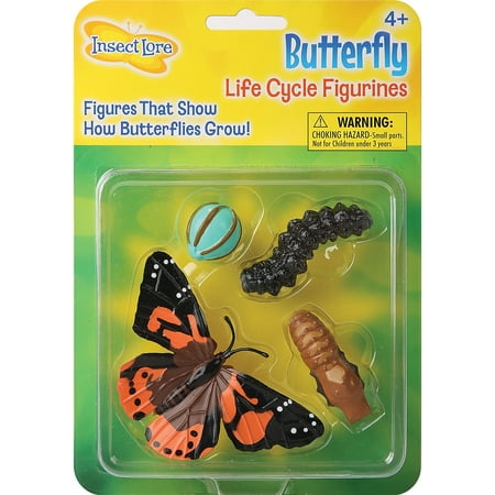 UPC: 0735569047608 | Insect Lore™ Butterfly Life Cycle Stages