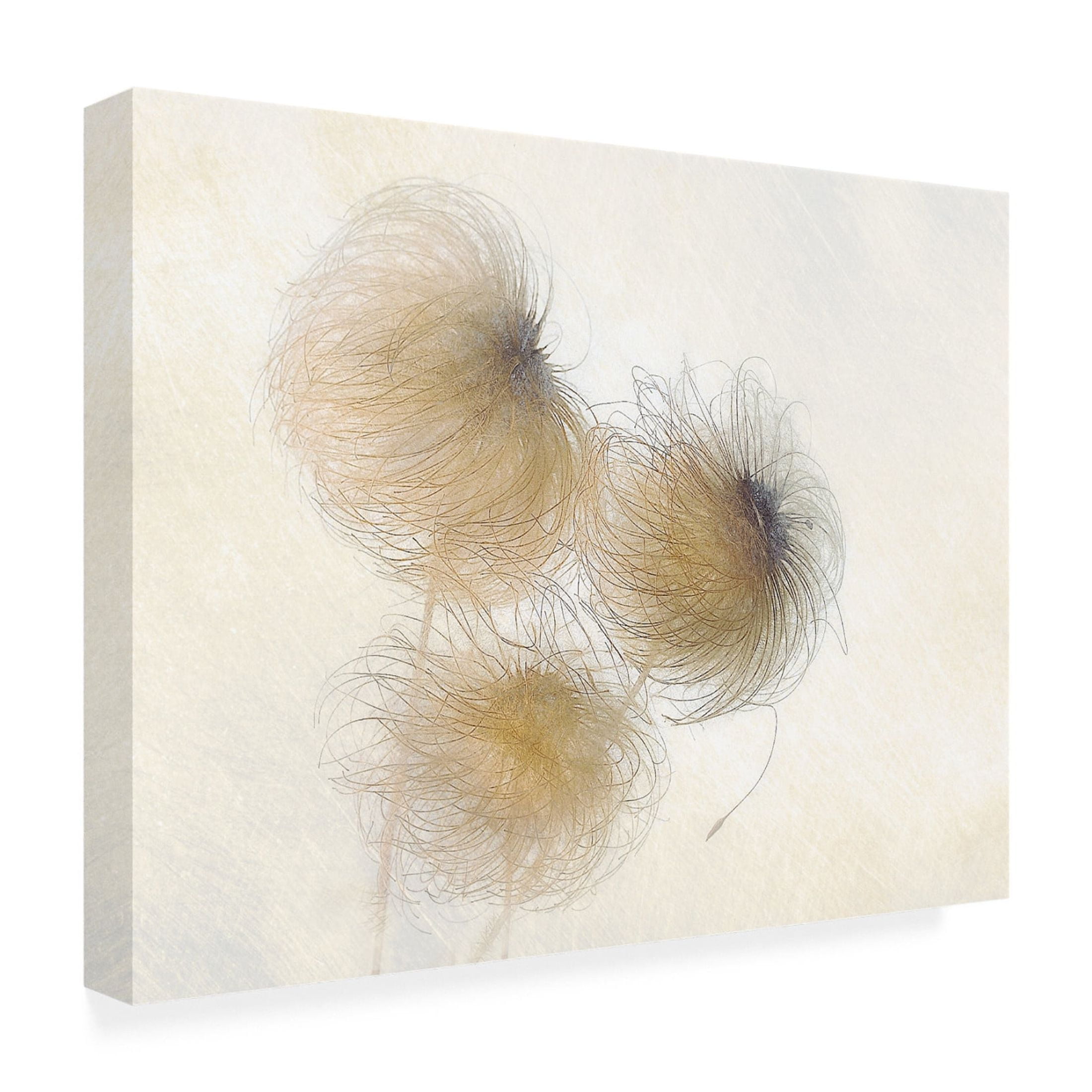 Canvas Wall Art - Nel Talen 'In The Wind' Wall Art for Living Room, Bedroom, or Office Décor by Trademark Fine Art - 32 x 24 Inches