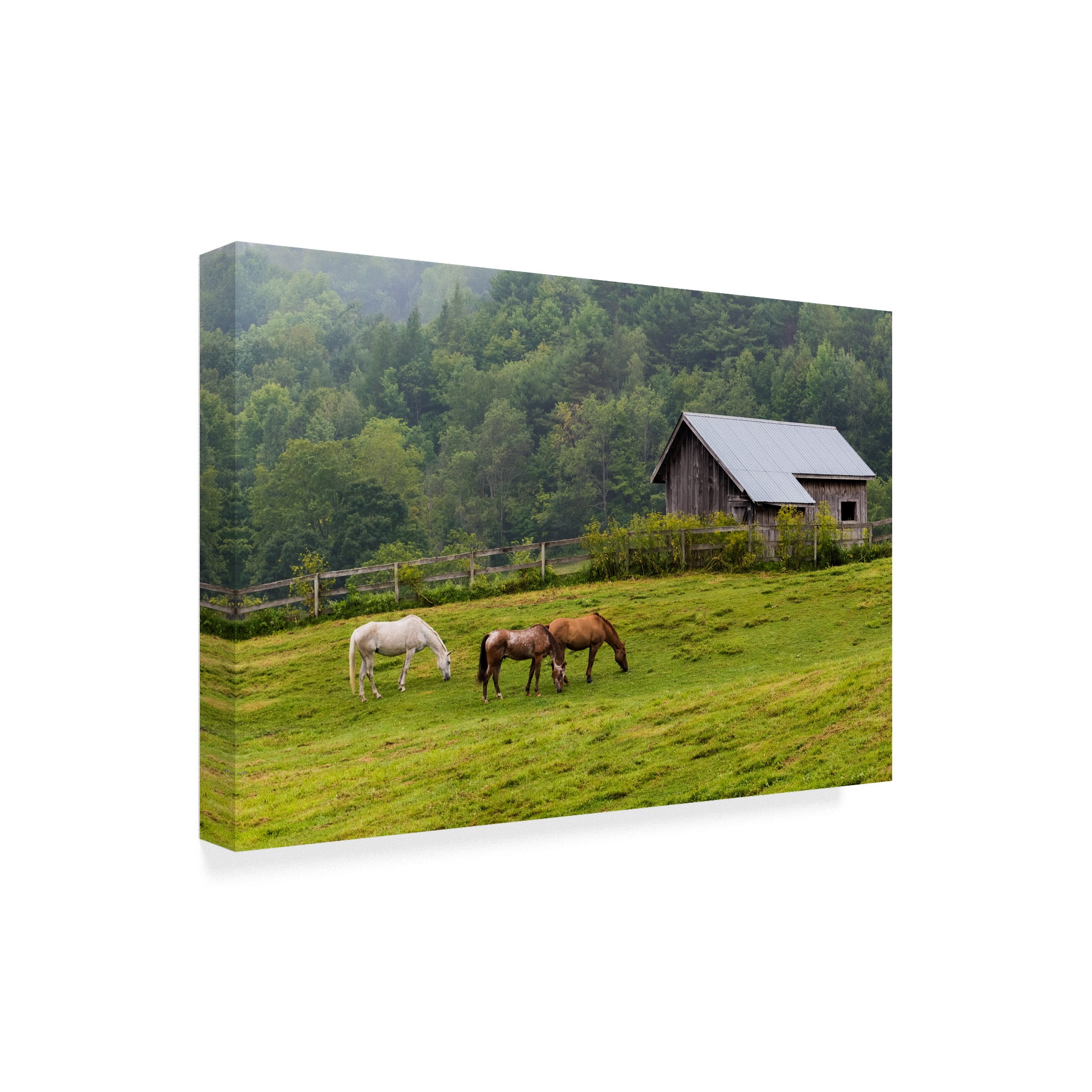 Trademark Fine Art 'Horse Farm Green' Canvas Art by Brenda Petrella Photography Llc