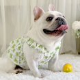 thumbnail image 4 of Adorable Pet Clothes for Cats & Small Dogs - Charming Spring & Autumn Wear, 4 of 4