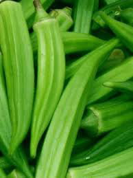 25 Seeds Organic Emerald Green Spineless Okra Vegetable Seed Great Source of Vitamins and Fat Free Used in Gumbo Dishes Non GMO