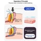 thumbnail image 3 of 60 Tiras Bucales Transpirables para Dormir Promueven la Respiración Nasal Mejoran la del Sueño Reducen el Riesgo de Infecciones Respiratorias Cinta Portátil y ANGGREK Otros, 3 of 8