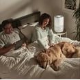 thumbnail image 4 of Homedics 4 in 1 Smart Air Purifier T200, 4 of 9