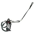 thumbnail image 3 of PetSafe CareLift Rear Support Harness for Pet Mobility & Older Dogs, Small, 3 of 8