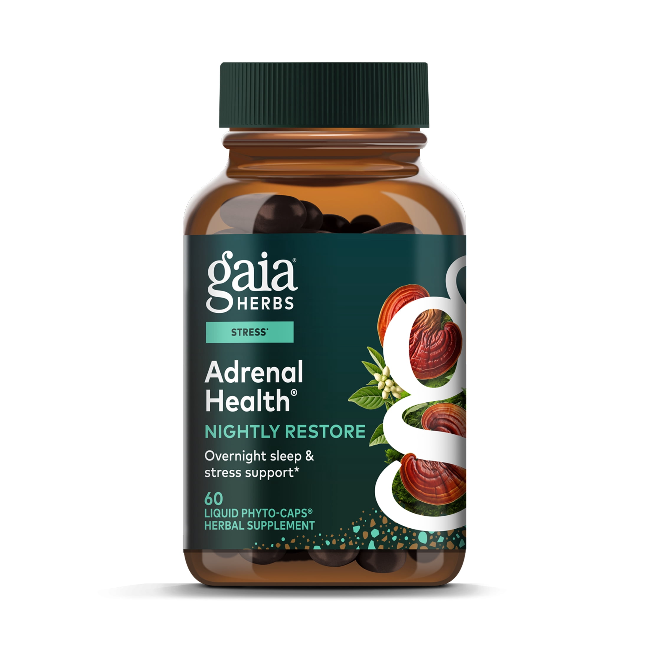 Reishi for Adrenal Fatigue: Can Adaptogens Restore Your Energy? 