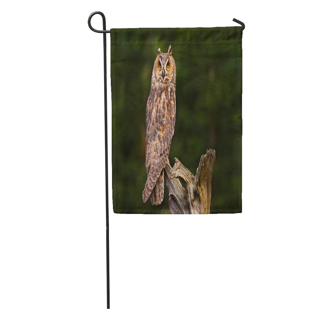 Tree branch owl Garden Double-sided Flag House Decor Waterproof Yard Banner