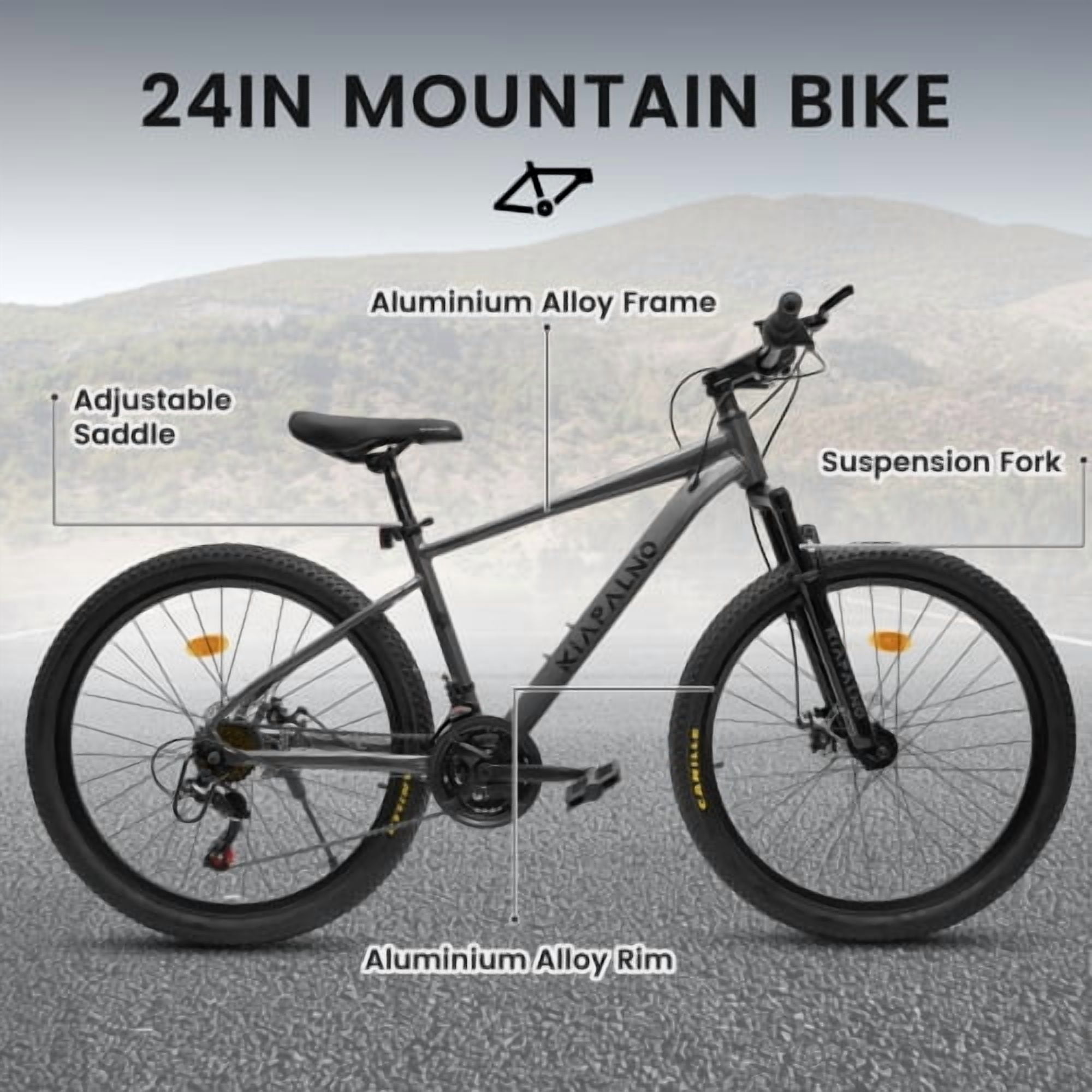 RAISTYW 24 inch Wheels Mountain Bike for Adult and Women, 21-Speed Steel Frame Bicycles with Shock Fork, Plus Shock Absorber, Black and Blue
