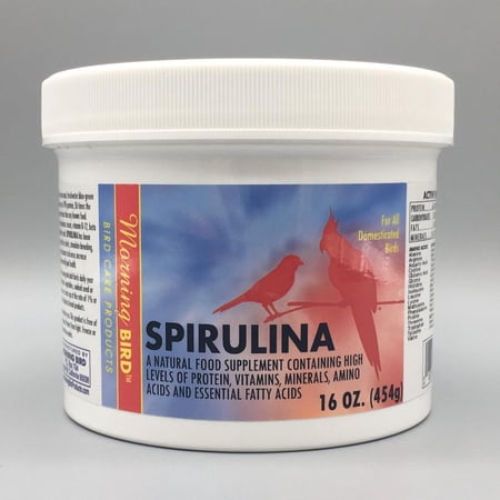 Morning Bird Spirulina for Birds