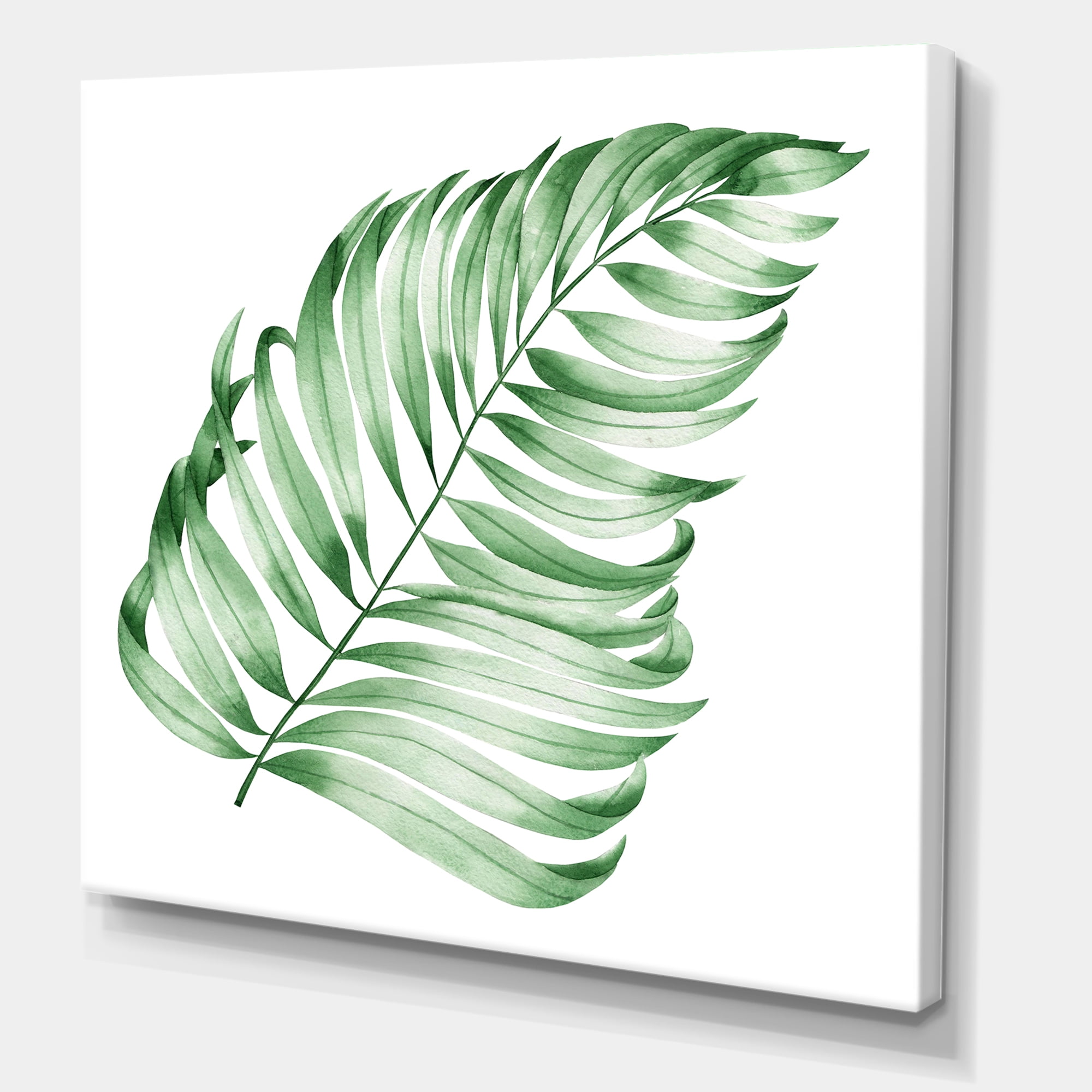 Designart ' Close Up Of Tropical Leaf Of Monstera II ' Farmhouse Canvas Wall Art Print