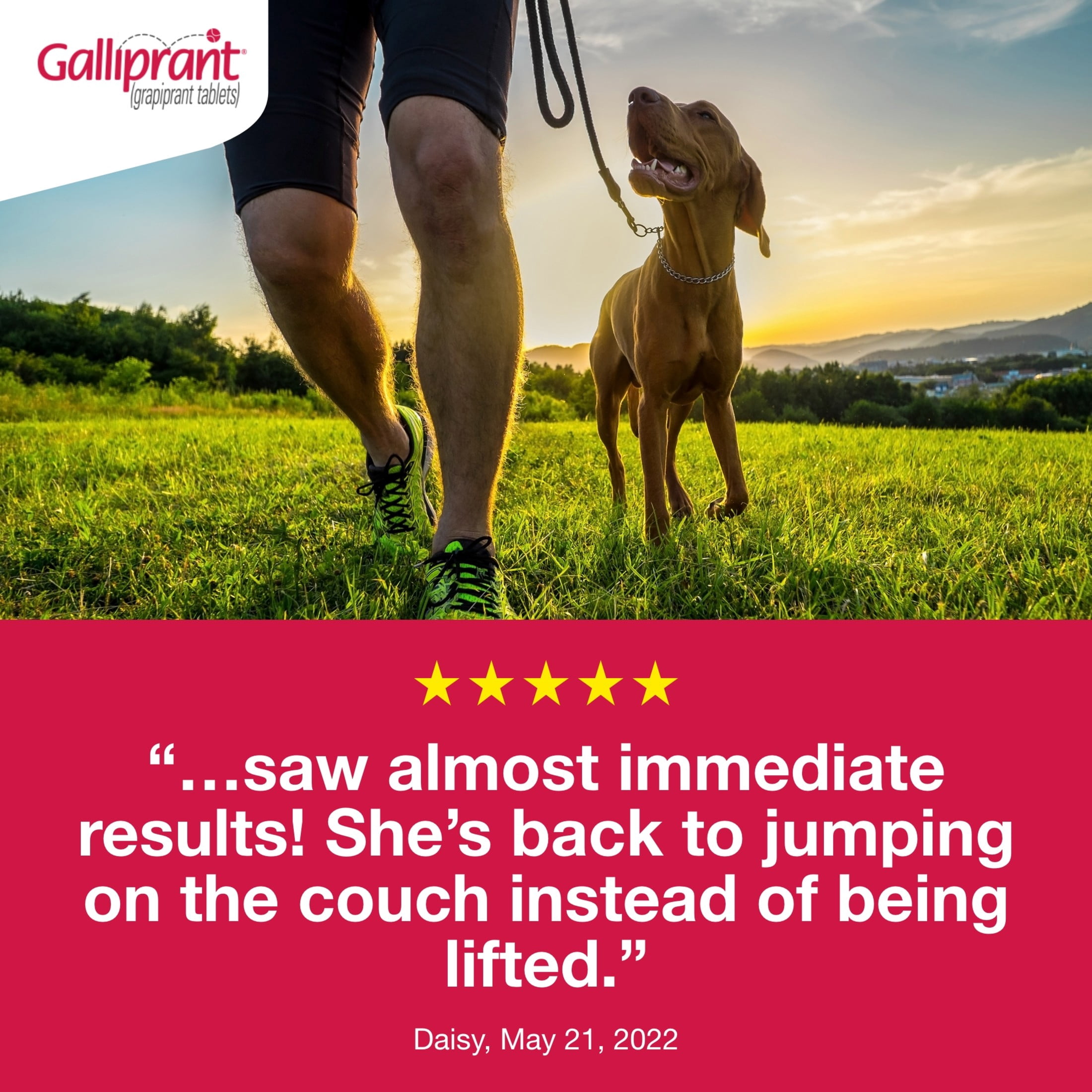 Galliprant Osteoarthritis Pain & Inflammation Control for Dogs | 100 mg | 90 Flavored Tablets
