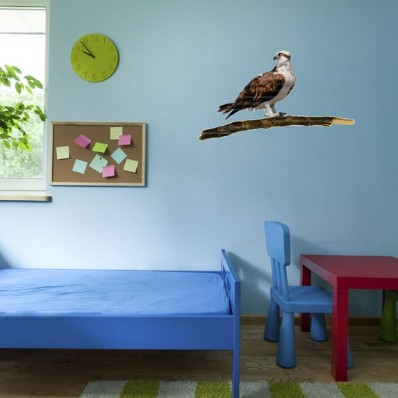 Watercolor Decal Bedroom Wall Decal for Children Home Bedroom Bird Of Prey Animal Design Cute Themed Room Décor - Size: 40 In x 24 In