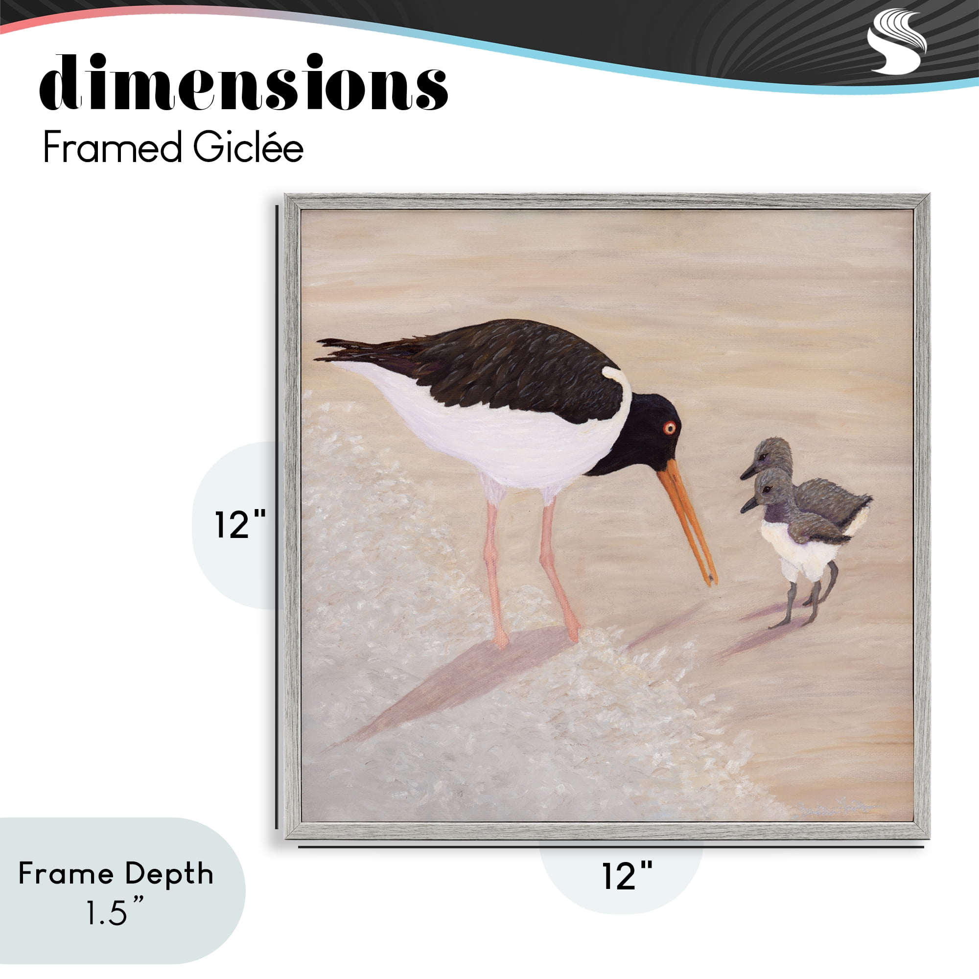 Stupell Industries American Oyster Catcher & Chicks Gray Framed Giclee Art, design by Barbara Fallenbaum