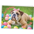 thumbnail image 5 of Glory To Dog It's Your Birthday Have a Ball English Bulldog 7-by-5 inch Birthday Card with Mailing Envelope, 5 of 8