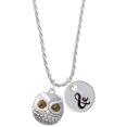 thumbnail image 1 of Delight Jewelry Silvertone Large Round Owl with Green Crystal Eyes Silvertone Script Initial Disc - & - Charm Necklace, 20"+3", 1 of 4