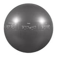 thumbnail image 3 of GoFit Pro Grade Stability Guide Ball with Pump (75cm; Silver), GF-75PRO, 3 of 6
