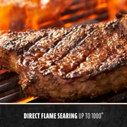 Pit Boss Pellet Smoker, Lexington 500 Square inch Wood Fired Pellet Grill, Onyx Series
