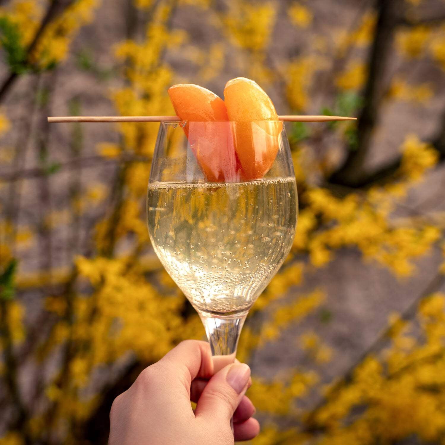 Peach Prosecco Long-Lasting Scented Jar Candle (18 oz)