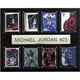 C & I Collectables 1215JORDAN8C NBA Michael Jordan Chicago Taureaux 8 Carte Plaque – image 1 sur 3