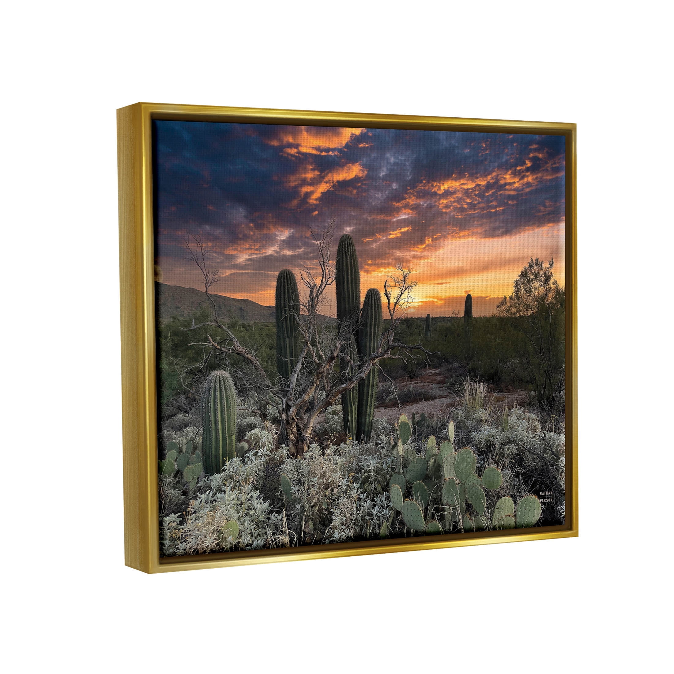 Stupell Industries Arid Desert Cactus Sunset Photograph Metallic Gold Floating Framed Canvas Print Wall Art, Design by Nathan Larson
