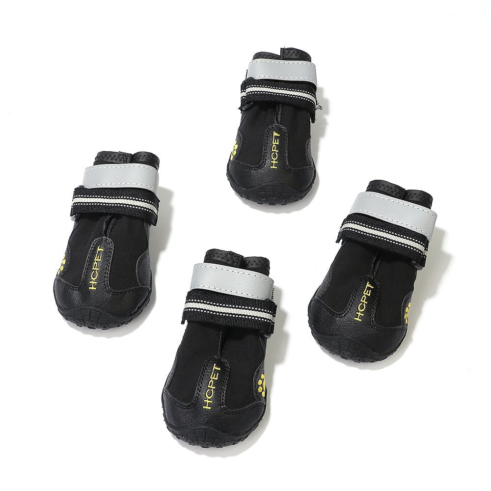 best dog shoes for summer