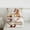 Brown, variant on jejeloiu Western Farmhouse Horse Full Size Comforter Sets,Kawaii Animals Bedding Sets For Men Women 3 Pieces