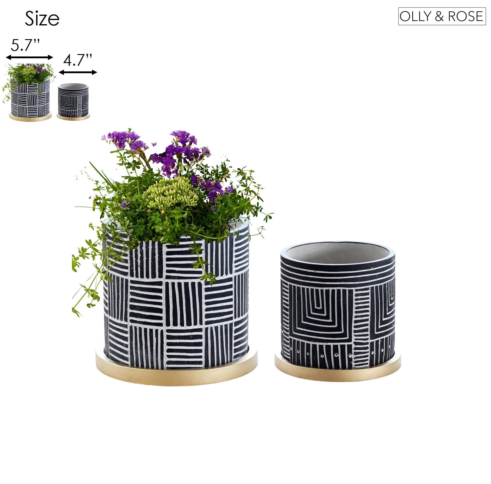 Olly & Rose Designer Black Plant Pots Set 2 with Gold Saucers Ceramic  Planters Indoor Outdoor 