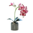 thumbnail image 5 of tasrioml Artificial Potted Plant Faux Moth Orchid Bonsai Desktop Artificial Potted Phalaenopsis Flowers for Home Dining Table Office Desk Decoration, 5 of 8