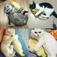 thumbnail image 3 of Electric Flipping Fish Toy for Cats, 3 of 7