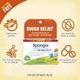 thumbnail image 4 of Boiron Spongia Tosta 6C Bonus Pack, Homeopathic Medicine for Cough Relief, 240 Pellets, 4 of 9
