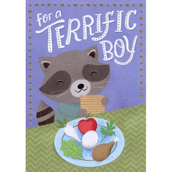 Designer Greetings Raccoon with Matzah and Seder Plate Juvenile Passover Card for Boy