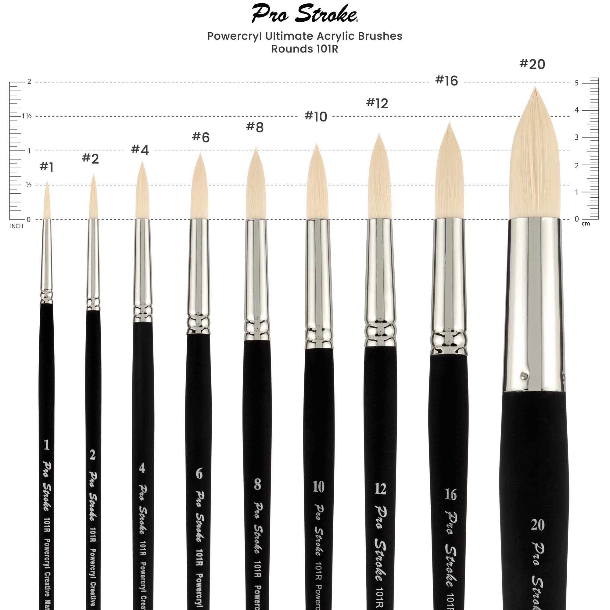 Creative Mark Pro-Stroke Powercryl Acrylic Paint Brushes - Rounds Value Set of 5, Synthetic Paint Brushes for Artists, Seamless Nickel-Plated Ferrules, Matte Black Wooden Handle, Soft-Touch Grip